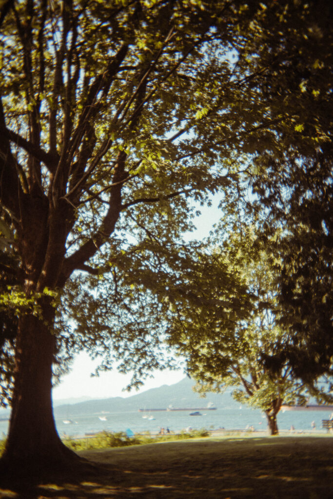 Jericho Beach and the mountains seen through the trees beside Brock House.
